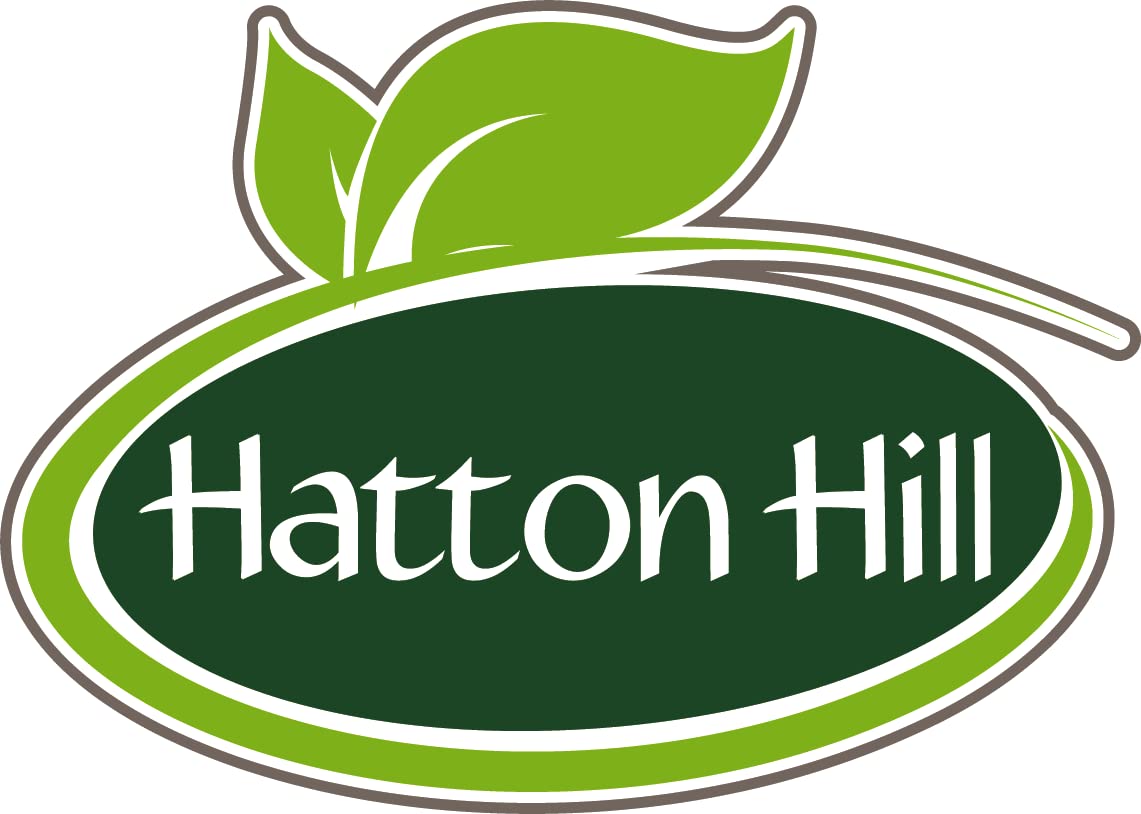 SOYA Protein Isolate (90% Protein) 250g by Hatton Hill, Unflavoured, Vegan Protein Shake Hatton HillBuy Supplements Australia