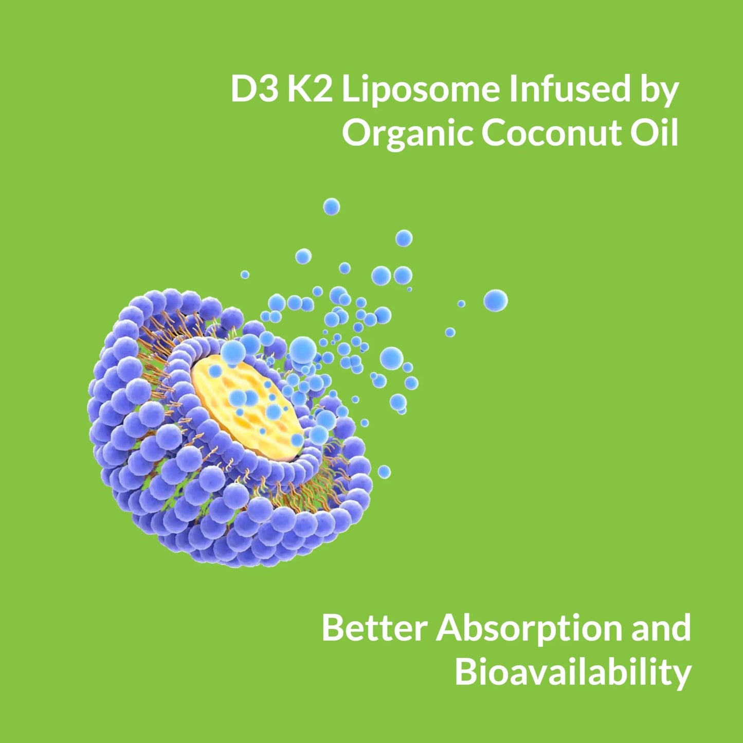 UpNourish Liposomal Vitamin D3 50000 IU (Vitamina D3 de 50000) with 1000 mcg Vitamin K, High Dose Vitamin D3 K2, Vitamin D 50000 IU with K1, K2 MK-4 and MK-7, 120 Mini Softgels UpNourish buy supplements Au