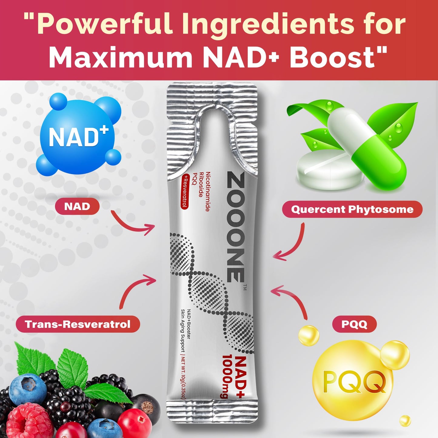 zooone- NAD+ Supplement 30pcs, Premium Nicotinamide Riboside & Resveratrol, DNA Repair & Healthy Aging, Advanced NAD Supplement for Men & Women, Boosts Cellular Energy. zoooneBuy Supplements Australia