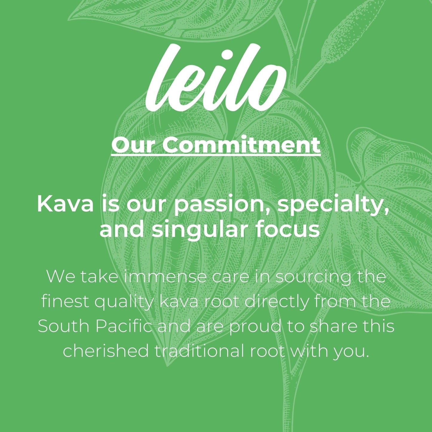 Leilo | Kava Powered Lime Margarita Mocktail Drink | Sugar-Free & Non-Alc Functional Relaxation Support | 12 fl oz Cans (Pack of 12) LEILO buy supplements Au