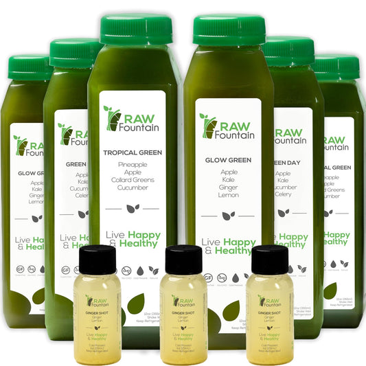 1 Day Green Juice Cleanse by Raw Fountain, All Natural Raw, Vegan Detox, Cold Pressed - NutriGlobal