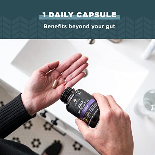 Ancient Nutrition Probiotic for Women, Once Daily Women's Probiotics for Vaginal Health Ancient NutritionBuy Supplements Australia