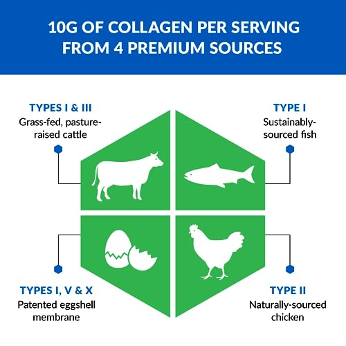 BioTrust Ageless Multi Collagen Peptides Powder – Types I, II, III, V, X – Unflavored Collagen BioTrustBuy Supplements Australia