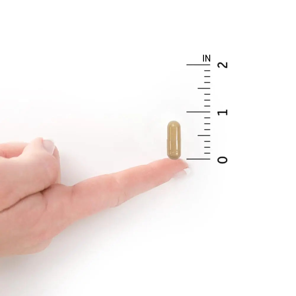 Garden of Life Probiotics for Women and Men - Raw Probiotics Colon Care 50 Billion CFU and Enzymes, Shelf Stable Once Daily Acidophilus Probiotic for Regularity and Immune Health Support, 30 Capsules Garden of LifeBuy Supplements Australia