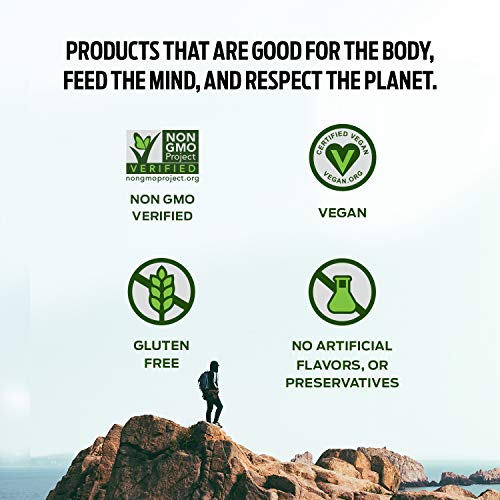 Vega Protein Made Simple Protein Powder, Strawberry Banana - Stevia Free, Vegan VegaBuy Supplements Australia