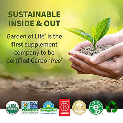 Garden of Life Raw Organic Fit Vegan Protein Powder Chocolate, 28g Plant Based Protein Garden of LifeBuy Supplements Australia