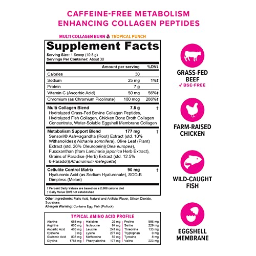 Hydrolyzed Collagen Peptides Powder for Women - Slimming Multi Collagen Burn Ultimate VitauthorityBuy Supplements Australia
