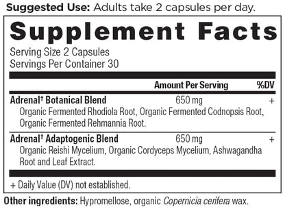 Ancient Nutrition Adrenal Support with Ashwagandha Supplement, Helps Reduce Stress & Fatigue, Paleo and Keto Friendly, Gluten Free, 1300mg, 60 Capsules Ancient NutritionBuy Supplements Australia