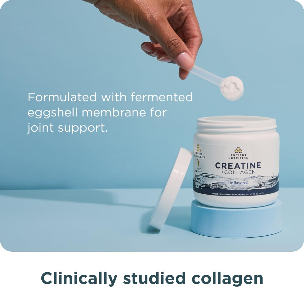Ancient Nutrition Creatine + Collagen – Muscle Strength, Lean Body Mass, Joint Comfort & Cognitive Support – Includes 5g Creatine Monohydrate for Women, 30 Servings