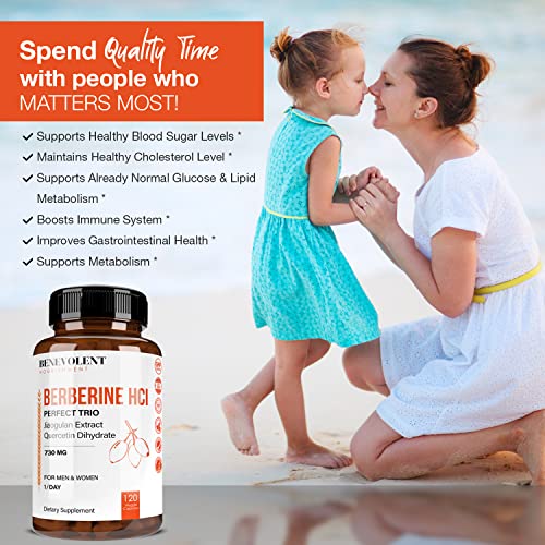 Premium Berberine HCL 730mg - 120 VCAPS Perfect Trio Complex with Non-GMO Jiaogulan Benevolent NourishmentBuy Supplements Australia