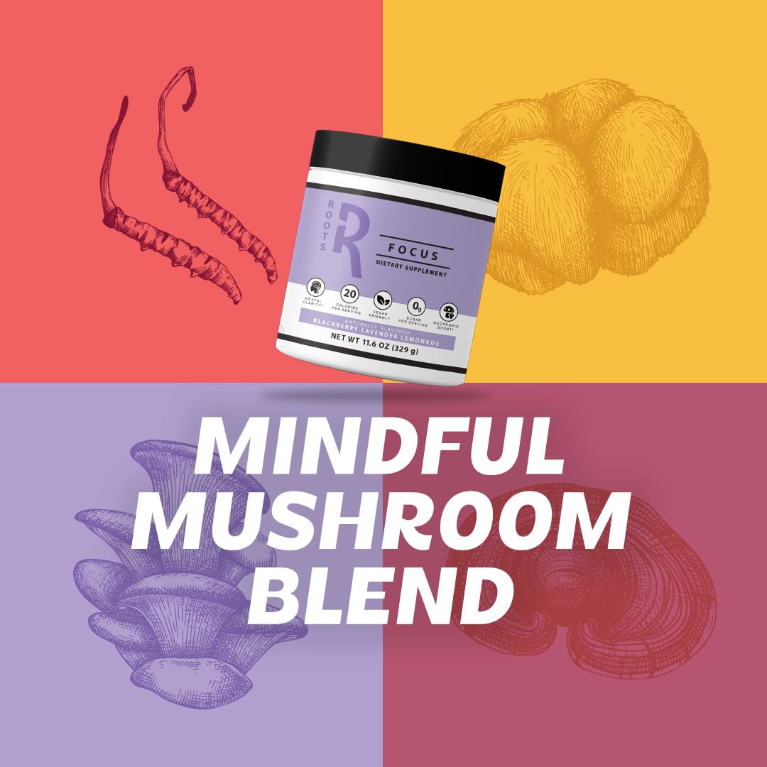 Roots Focus Brain Supplement - Nootropic Mushroom Supplement Powder for Memory, Focus, Energy - Lion's Mane, Cordyceps, and Reishi Mushrooms with Caffeine - Blackberry Lemonade, 15 On the Go Packets Silver Star NutritionBuy Supplements Australia
