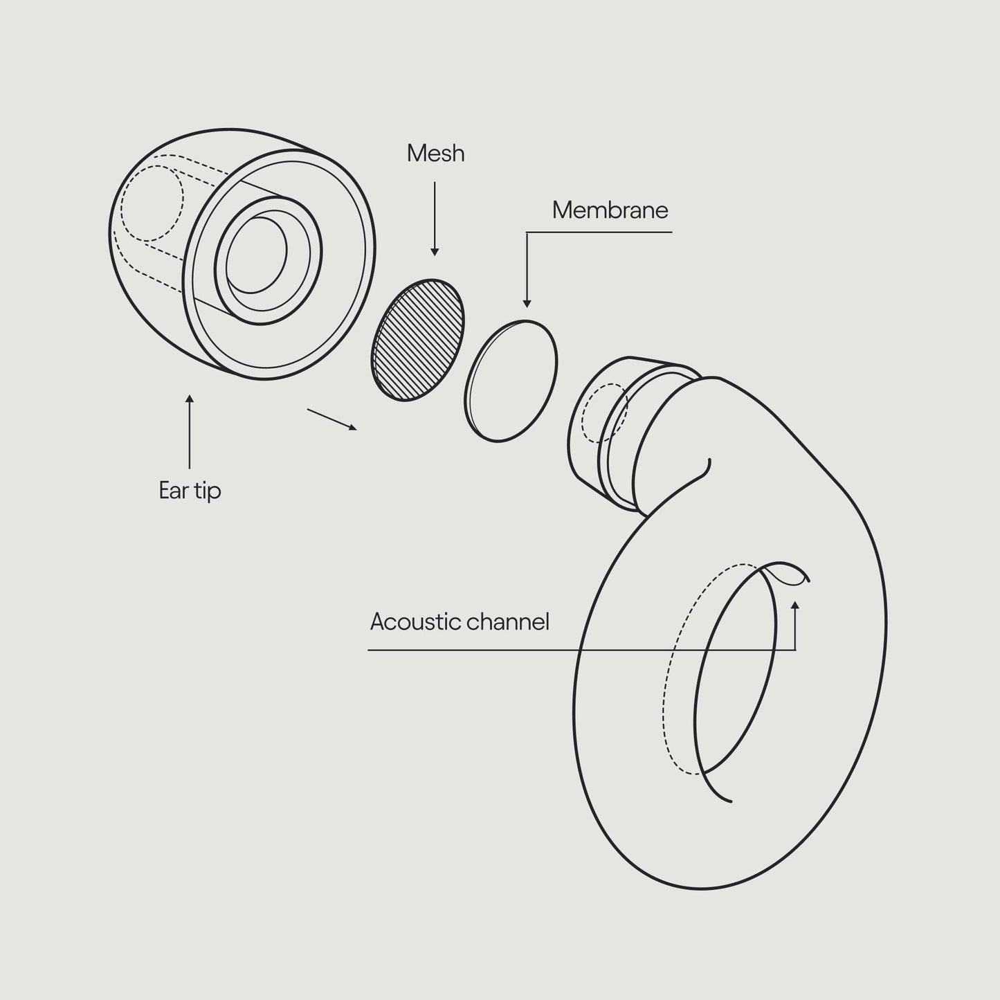 Loop Experience Ear Plugs for Concerts – High Fidelity Hearing Protection LoopBuy Supplements Australia