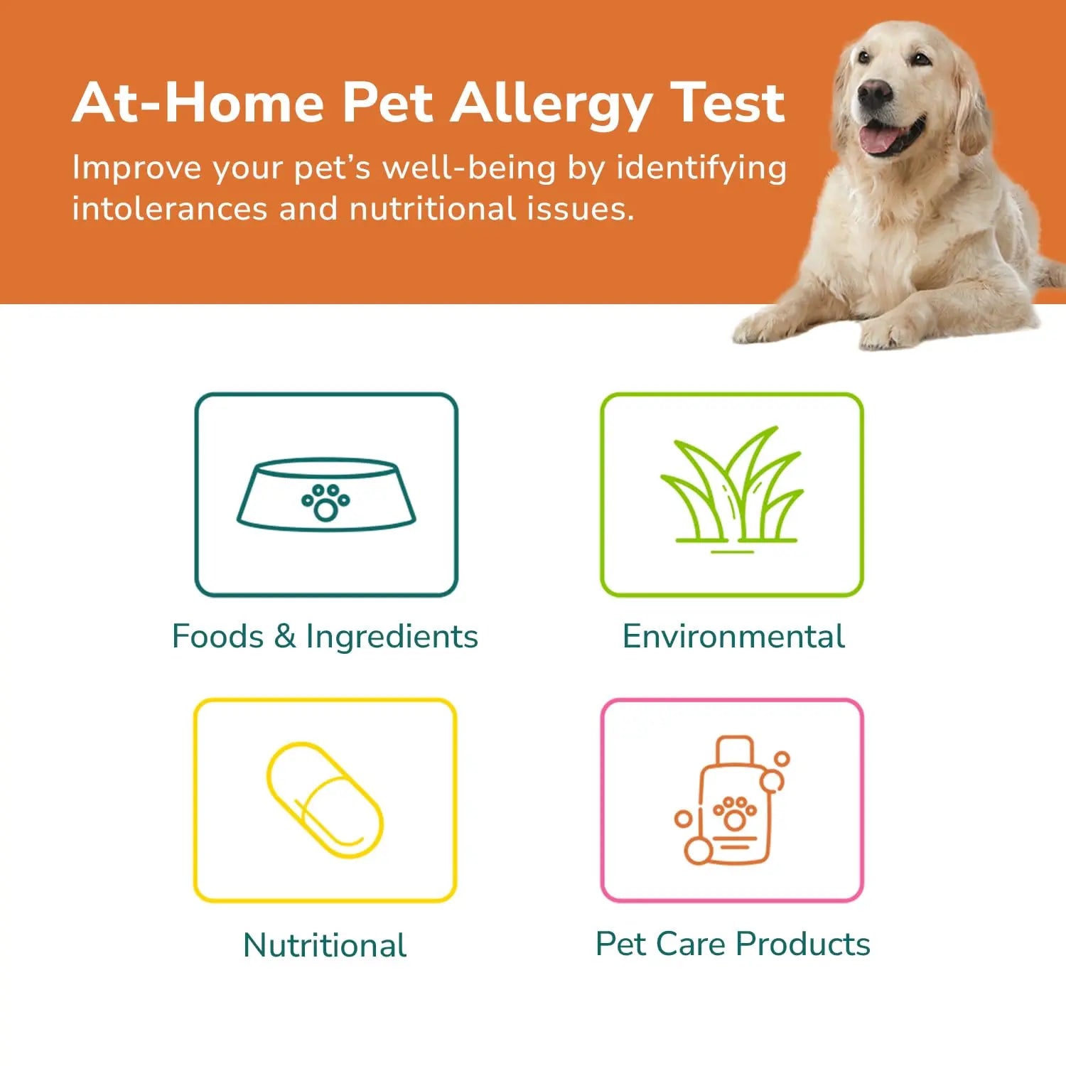 TotalVet Dog Allergy +1000 Food & Nutritional Sensitivity Test, Pet Intolerance Kit at Home — Advanced Complement to DNA Tests for Complete Pet Wellness TotalVetBuy Supplements Australia