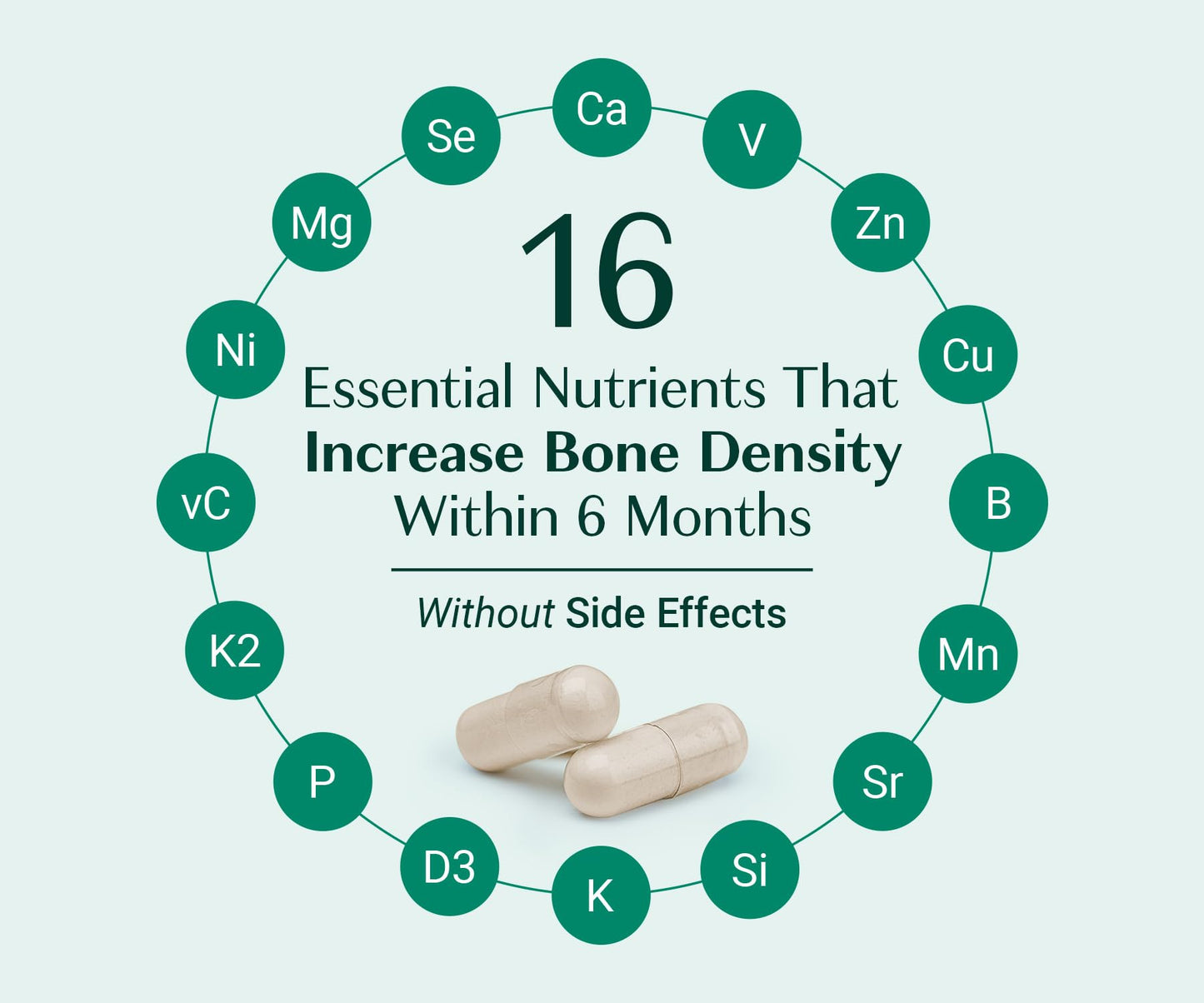 AlgaeCal - Bone Builder Pack for Bone Density Increase, Clinically Supported Plant Based Calcium Supplement & Strontium, Vitamins K2 (100mg), D3 (1600 IU), Magnesium & 16 Essential nutrients ALGAECALBuy Supplements Australia