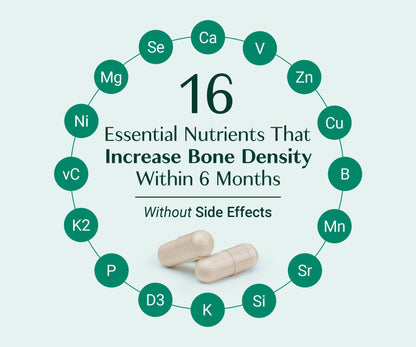 ALGAECAL Bone Builder Pack - Plant Based Calcium Supplement & Strontium - Organic Calcium 750mg with Vitamin D3 1600 IU, Vitamin K2, Magnesium