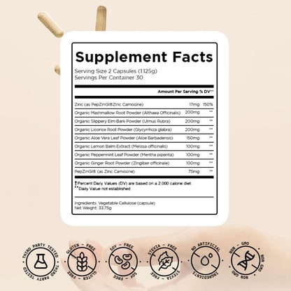 HOLISS Daily Gut Health Capsules – 8-in-1 All Natural Supplement, Lemon Balm, Bloat & Gas Relief, GI Lining Repair,