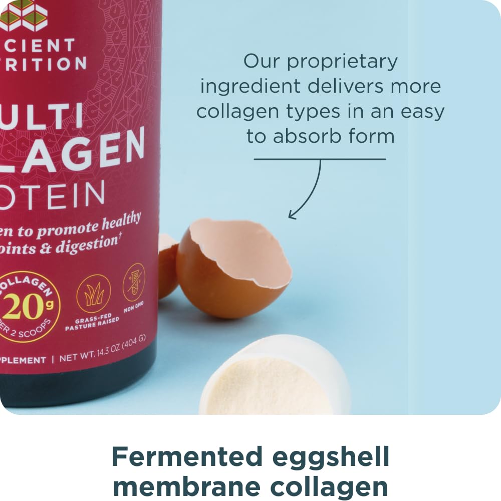 Ancient Nutrition Collagen Powder Protein with Probiotics, Unflavored Multi Collagen Protein with Vitamin C, 45 Servings, Hydrolyzed Collagen Peptides Supports Skin and Nails, Gut Health, 16oz Ancient NutritionBuy Supplements Australia