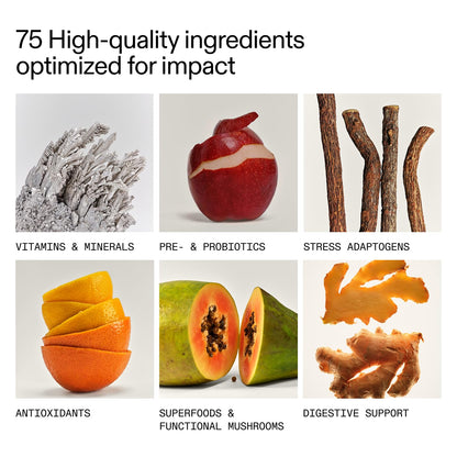 AG1 Greens Powder Supplement Bundle w/Stainless Steel Storage Canister – Multivitamin, Probiotic & Superfood Blend | Gut Health & Daily Wellness Support | Includes Shaker & Scoop | Vegan, Gluten-Free AG1Buy Supplements Australia