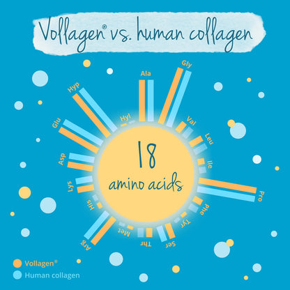 Vegavero Vegan Collagen Complex + Hyaluronic Acid | NO Additives | Vegan Collagen Powder Vollagen® VegaveroBuy Supplements Australia