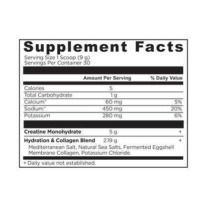 Ancient Nutrition Creatine + Collagen + Electrolytes – Muscle Strength, Lean Body Mass, Joint Comfort & Cognitive Support – Includes 5g Creatine Monohydrate for Women