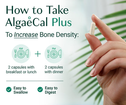 ALGAECAL Organic Red Algae Calcium Supplement for Bone Density, Vitamin K2 MK7 (100mg), Vitamin D3 (1600 IU), Magnesium (350mg) & Trace Minerals & Strength