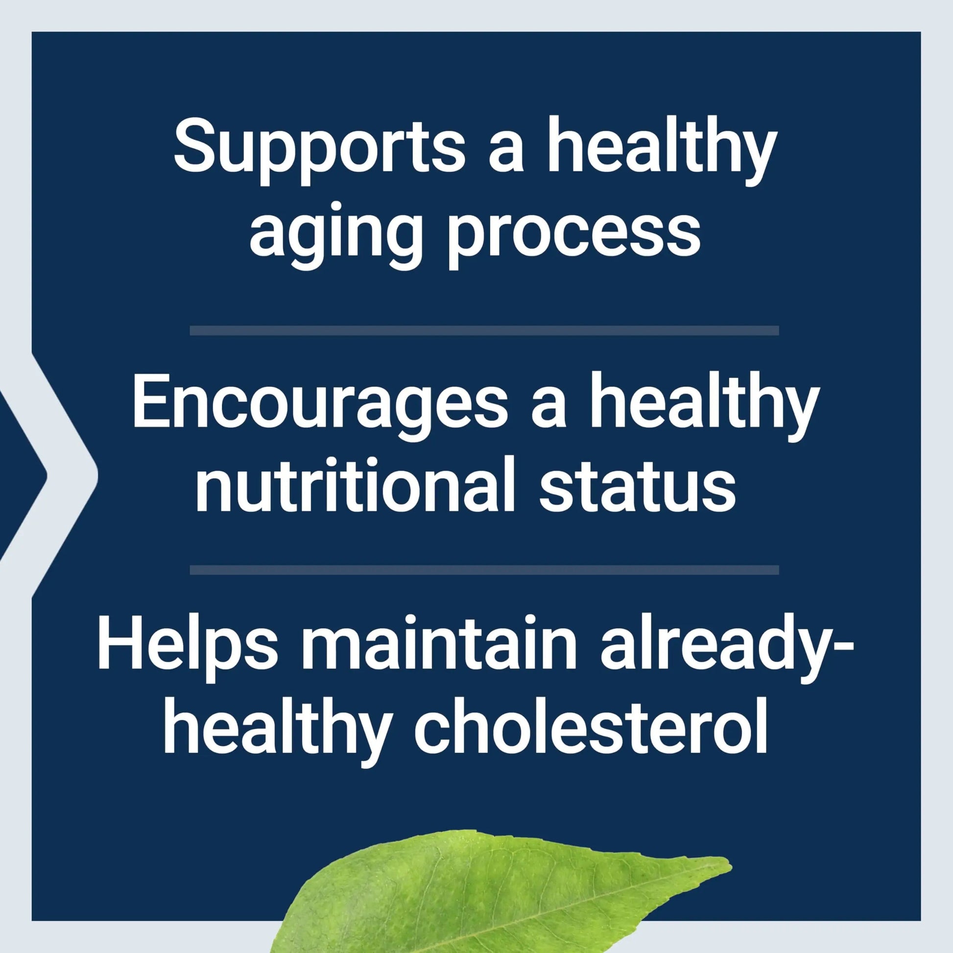 Life Extension FLORASSIST® Probiotic Youthful Gut, Healthy Aging Supplement, postbiotic and probiotic Blend, Heart and Gut Health, Non-GMO, 1-Daily, Gluten-Free, Vegetarian, 30 Capsules Life ExtensionBuy Supplements Australia