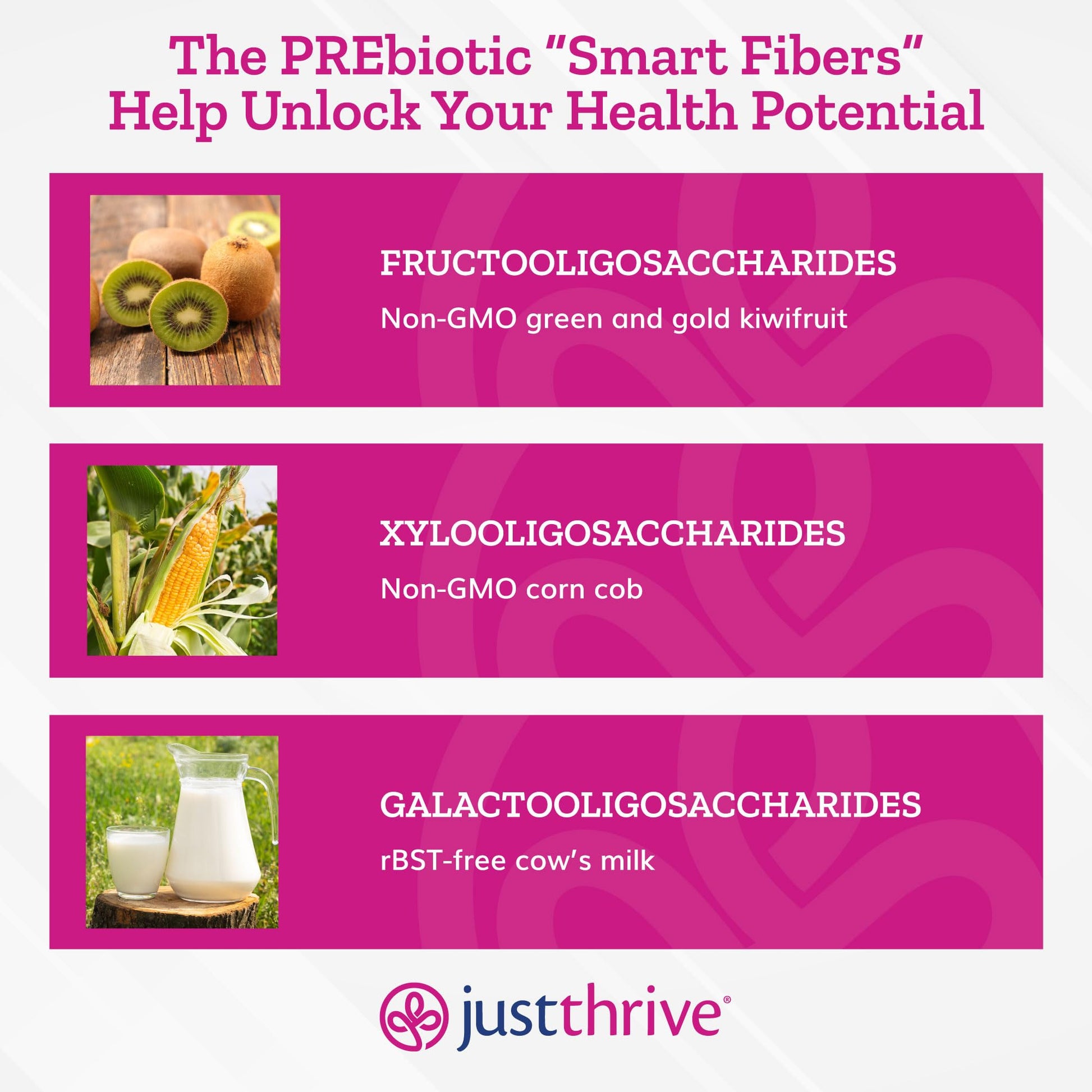 Just Thrive PREbiotic Powder - Digestive and Immune Support Supplement, 150 g Just ThriveBuy Supplements Australia