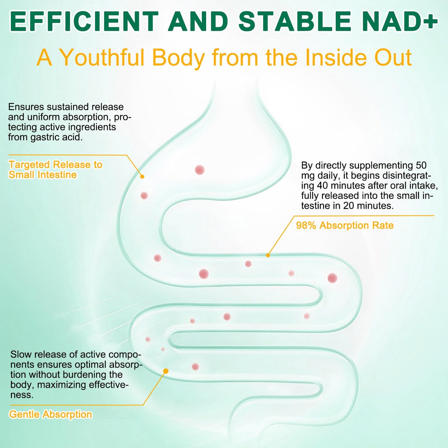 NAD Supplement 120 Capsules, Liposomal Nicotinamide Riboside, Resveratrol, Quercetin, NAD Nicotinamide Riboside Resveratrol 910mg for Women & Men, NAD Supplement for Anti Aging and Cell Regeneration KZUOBuy Supplements Australia