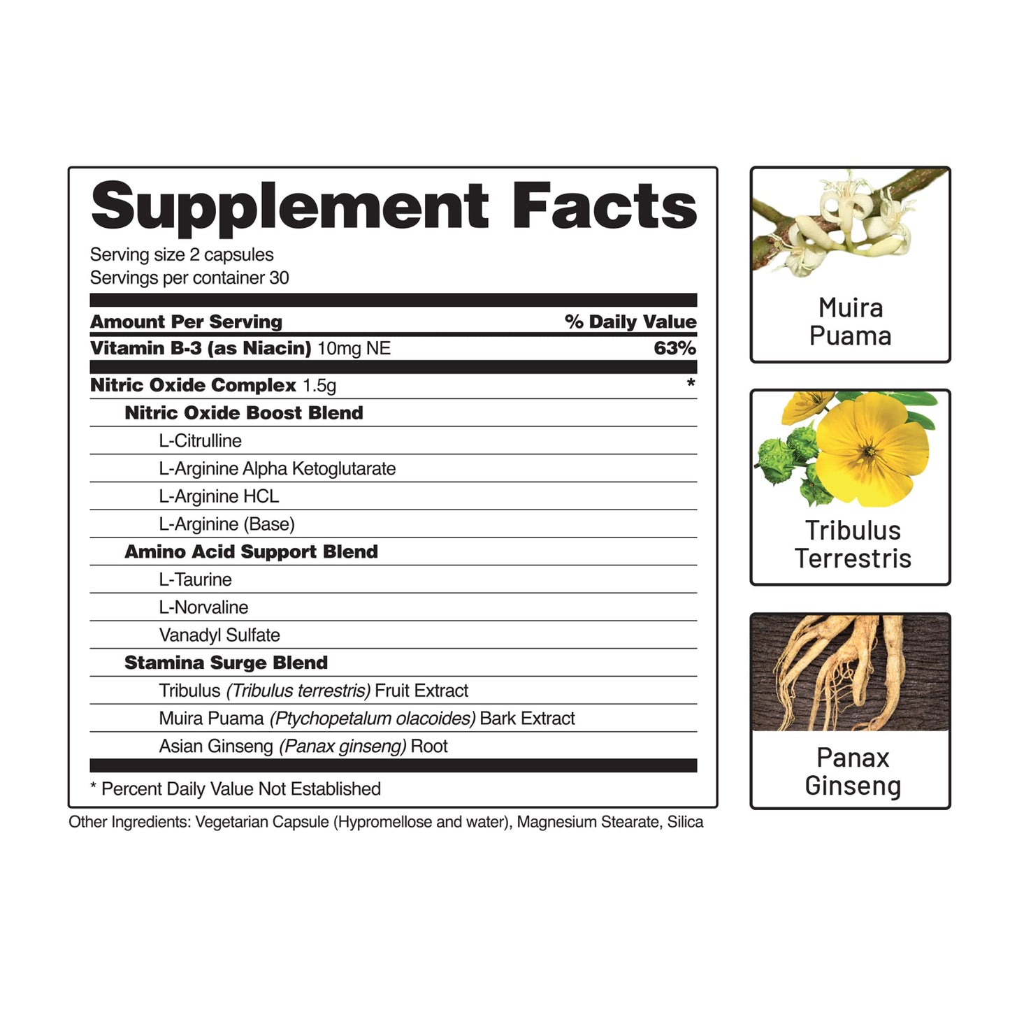 Snap Supplements Nitric Oxide Booster, Nitric Oxide Supplement for Blood Circulation Snap SupplementsBuy Supplements Australia