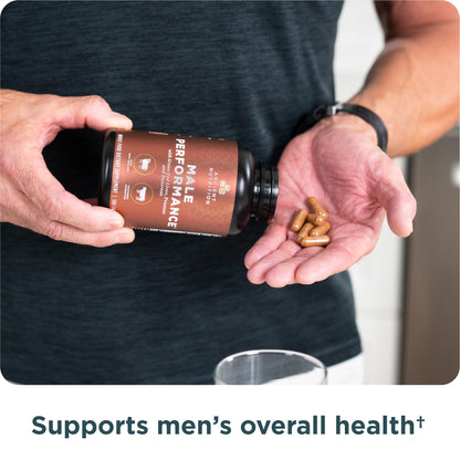 Ancient Nutrition Organ Supplements for Men, Grass-Fed and Wild Organ Complex Capsules, Liver, Prostate, Pancreas Supports Male Performance, Healthy Aging, 180 Ct Ancient NutritionBuy Supplements Australia