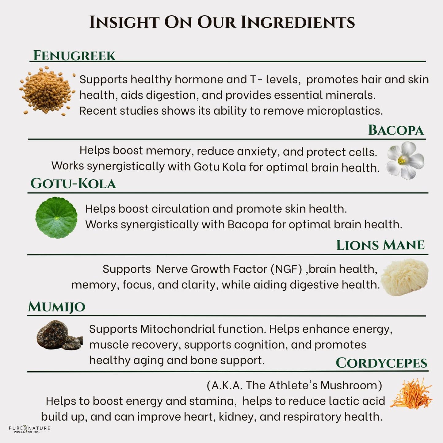 Focus + Energy + Performance Support-6-in-1 Mushroom Nootropic & Mitochondrial Complex-Advanced Brain Supplement-Natural Energy-Caffeine Free Biohack with Lion’s Mane,Cordyceps,Mumijo,Fenugreek Pure Nature Wellness Co.Buy Supplements Australia