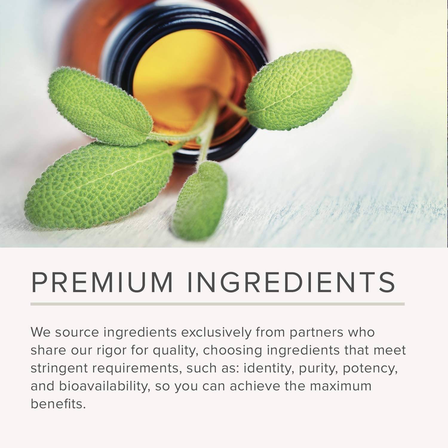 NusaPure Quercetin - Suitable for Vegetarian/Vegan, Non - GMO - 1000 mg - 200 Capsules NusaPureBuy Supplements Australia