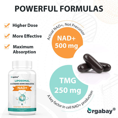 Orgabay Liposomal NAD+ Supplement 500 mg, High Absorption, Boost NAD+ with TMG 250 mg, Actual NAD Plus More Efficient Than Nicotinamide Riboside, Support Cellular Energy, Healthy Aging | 240 Softgels OrgabayBuy Supplements Australia