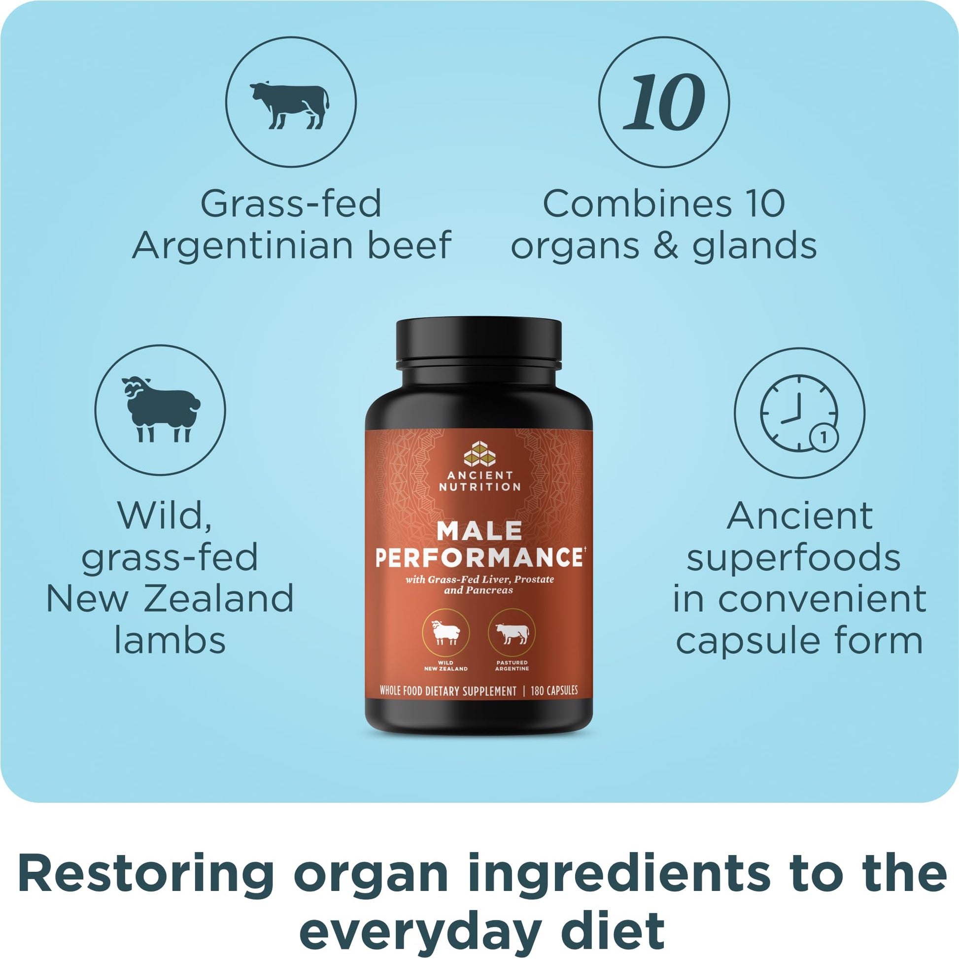 Ancient Nutrition Organ Supplements for Men, Grass-Fed and Wild Organ Complex Capsules, Liver, Prostate, Pancreas Supports Male Performance, Healthy Aging, 180 Ct Ancient NutritionBuy Supplements Australia