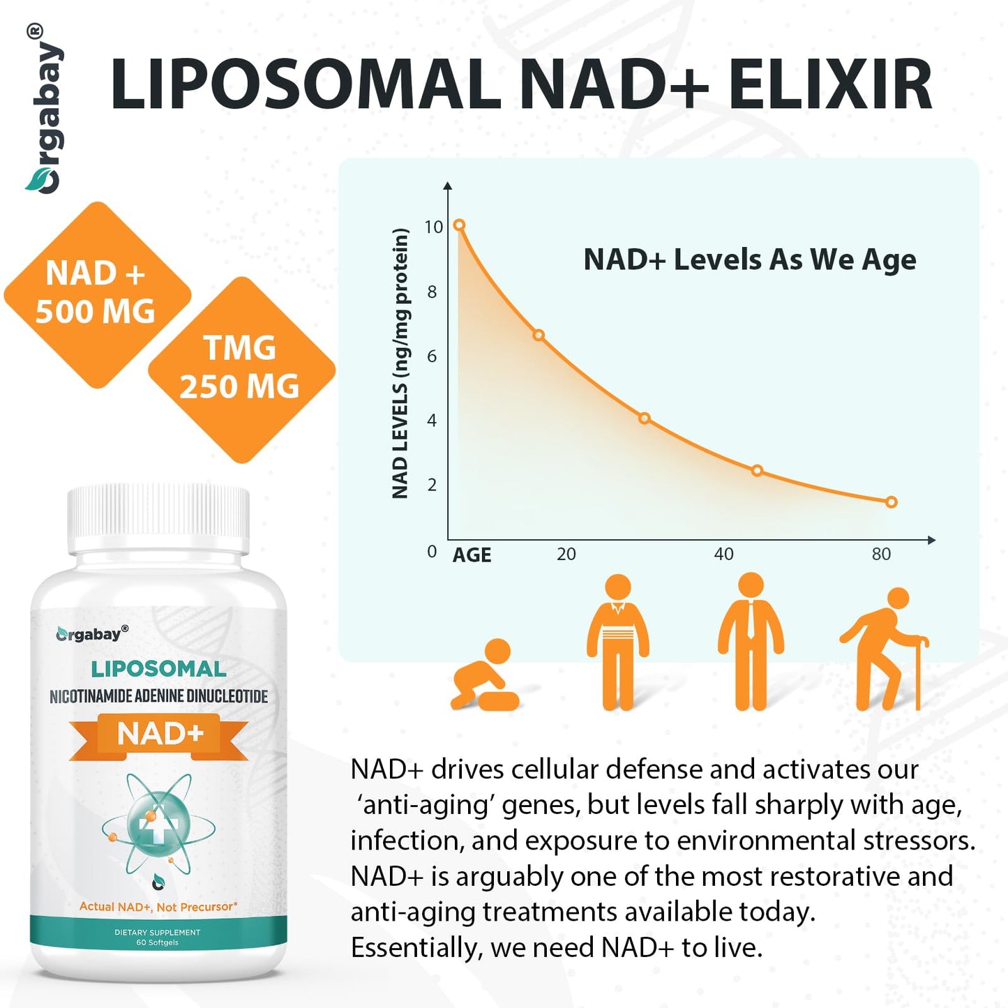 Orgabay Liposomal NAD+ Supplement 500 mg, High Absorption, Boost NAD+ with TMG 250 mg, Actual NAD Plus More Efficient Than Nicotinamide Riboside, Support Cellular Energy, Healthy Aging | 60 Softgels OrgabayBuy Supplements Australia