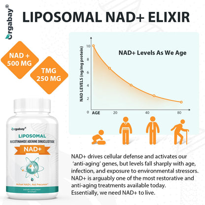 Orgabay Liposomal NAD+ Supplement 500 mg, High Absorption, Boost NAD+ with TMG 250 mg, Actual NAD Plus More Efficient Than Nicotinamide Riboside, Support Cellular Energy, Healthy Aging | 240 Softgels OrgabayBuy Supplements Australia