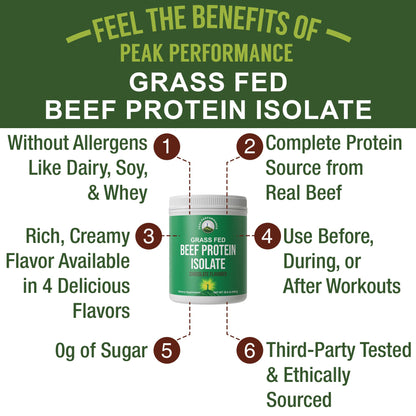 Grass Fed Beef Protein Powder - Lactose Free Great Tasting Beef Protein Isolate. Complete Animal Based Non Dairy Paleo Carnivore Supplement for Prime Muscle Building. No Whey. Chocolate Flavor Peak PerformanceBuy Supplements Australia