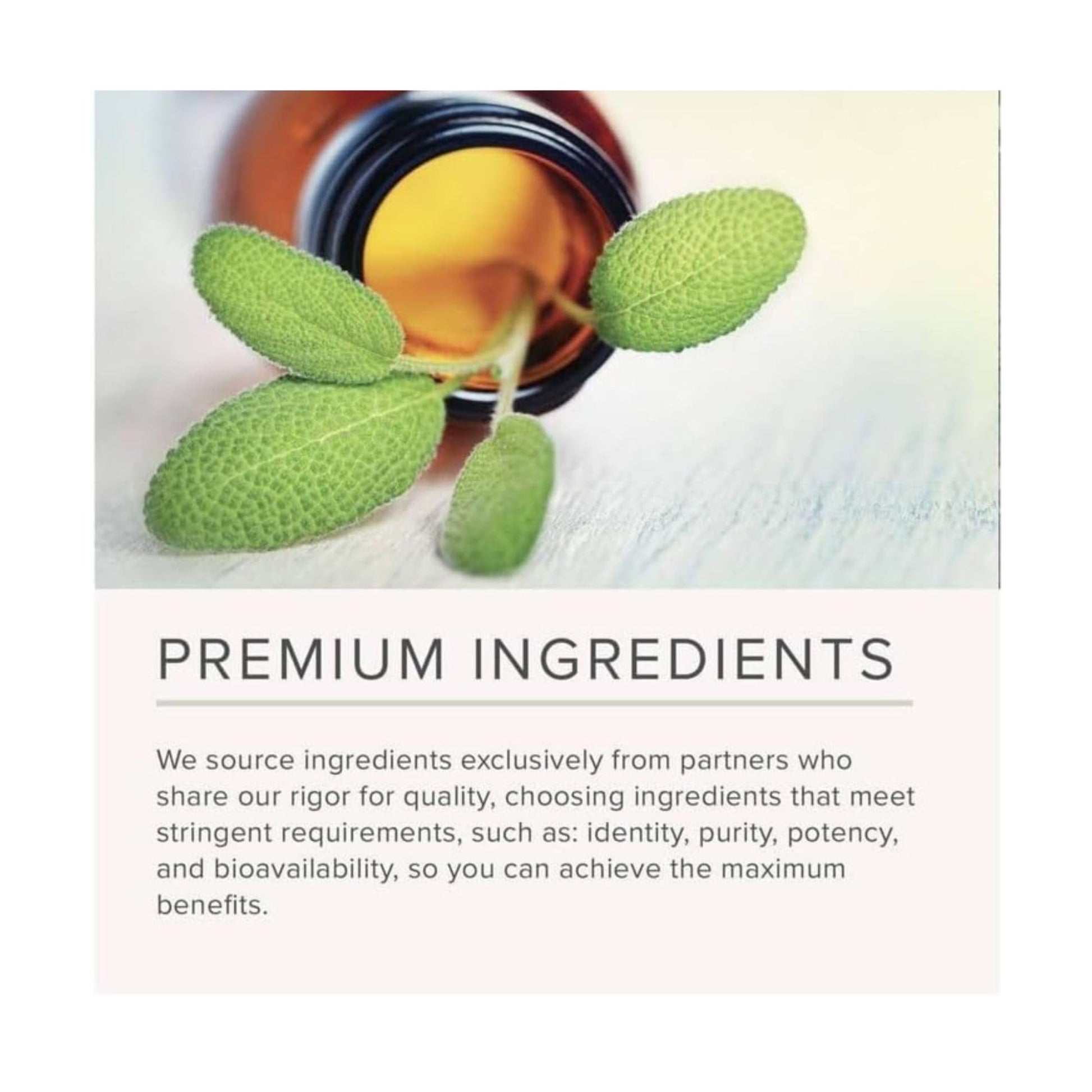 NusaPure Wormwood Capsules 2000mg | Artemisia Annua Herb | 200 Count | Non-GMO & Vegan Supplement NusaPureBuy Supplements Australia