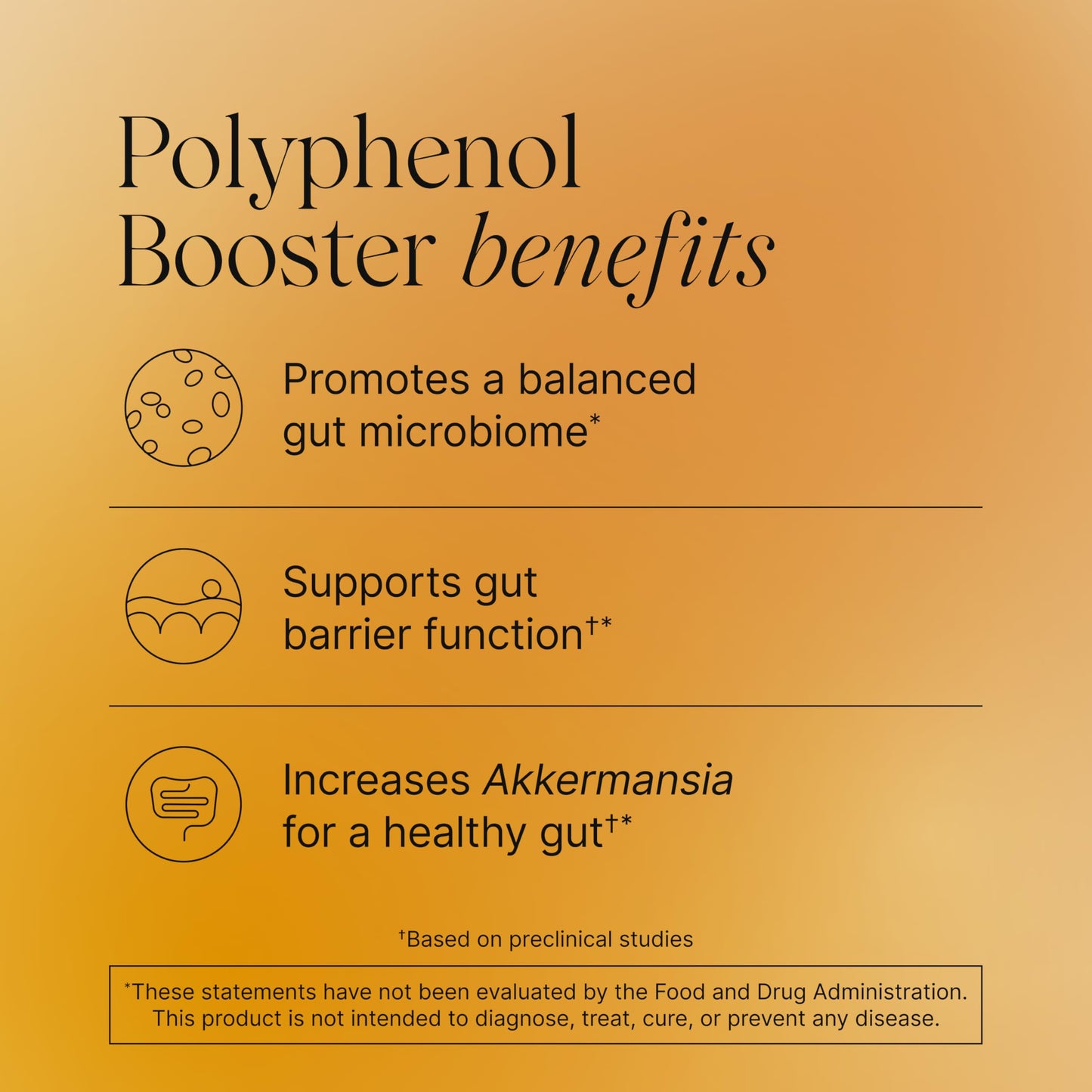 Pendulum Polyphenol Booster, Antioxidant from Superfoods, Beneficial Plant Compounds for Good Health, Helps Boost Akkermansia Muciniphila for Men & Women (60 Capsules, 1-Pack) PendulumBuy Supplements Australia
