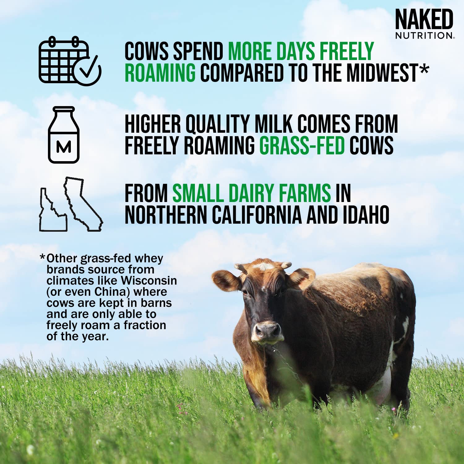 Naked Nutrition Naked Whey 1Lb - Only 1 Ingredient, Grass Fed Whey Protein Powder Naked NutritionBuy Supplements Australia