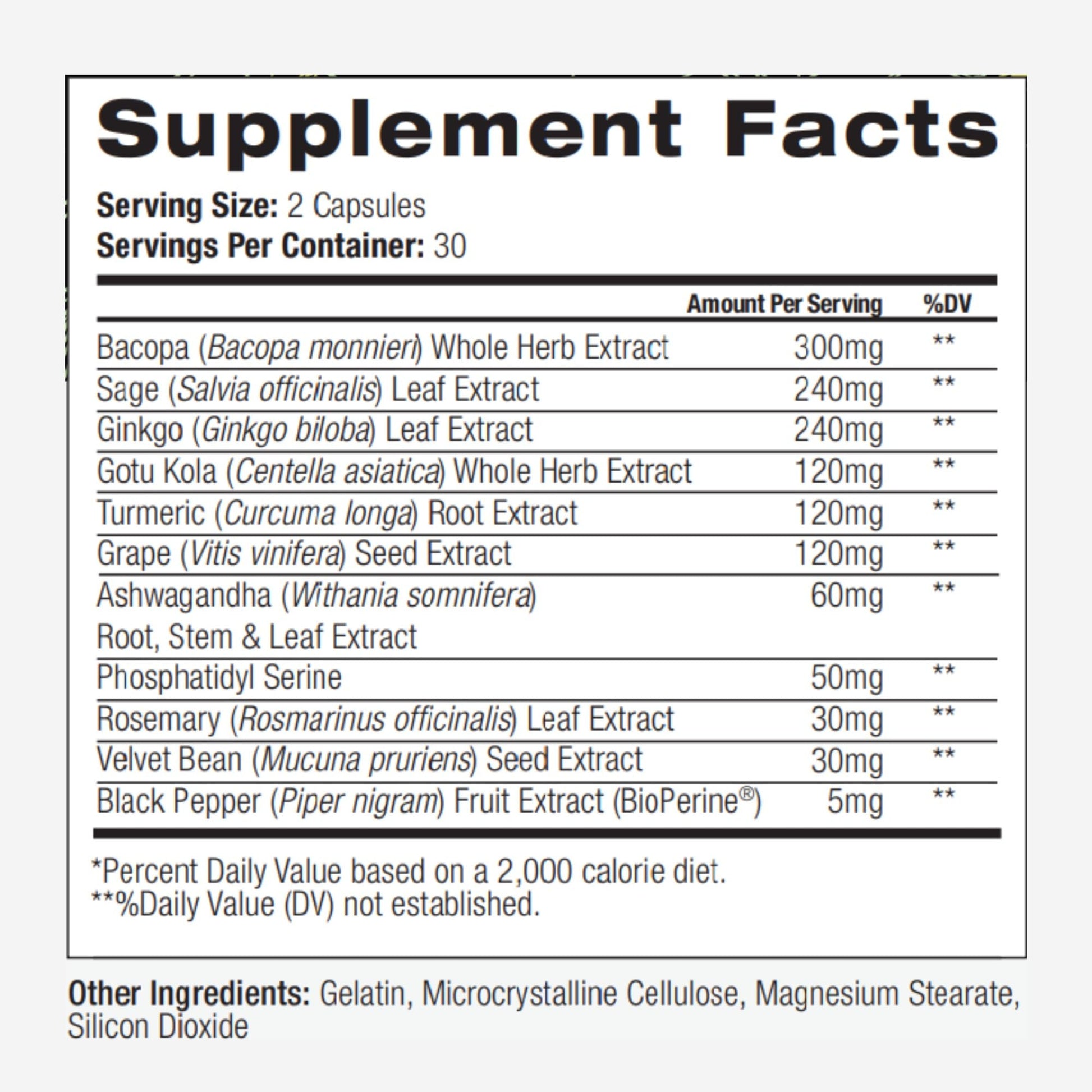 PALO Focus Brain Booster Natural Supplement Nootropic for Memory, Focus, Learning, Reall, Attention and Cognition - Ginkgo Biloba, Bacopa, Gotu Kola, Ashwagandha, Mucuna 60 Capsules PALOBuy Supplements Australia