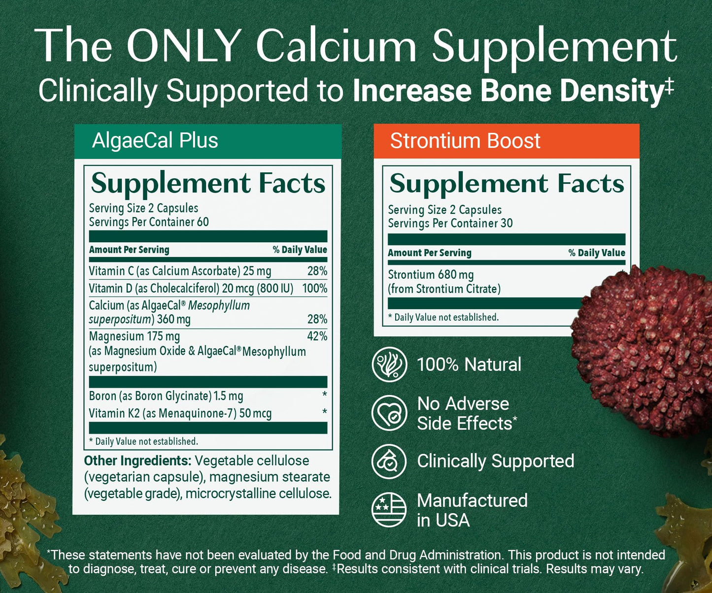 AlgaeCal - Bone Builder Pack for Bone Density Increase, Clinically Supported Plant Based Calcium Supplement & Strontium, Vitamins K2 (100mg), D3 (1600 IU), Magnesium & 16 Essential nutrients ALGAECALBuy Supplements Australia
