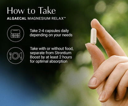 AlgaeCal Magnesium Relax™ - Chelated Magnesium with Ashwagandha for Sleep & Occasional Anxiety - Glycinate, Malate, Citrate - Sleep, Mood, & Cortisol Support (60 Caps - 1 Month Supply) ALGAECALBuy Supplements Australia