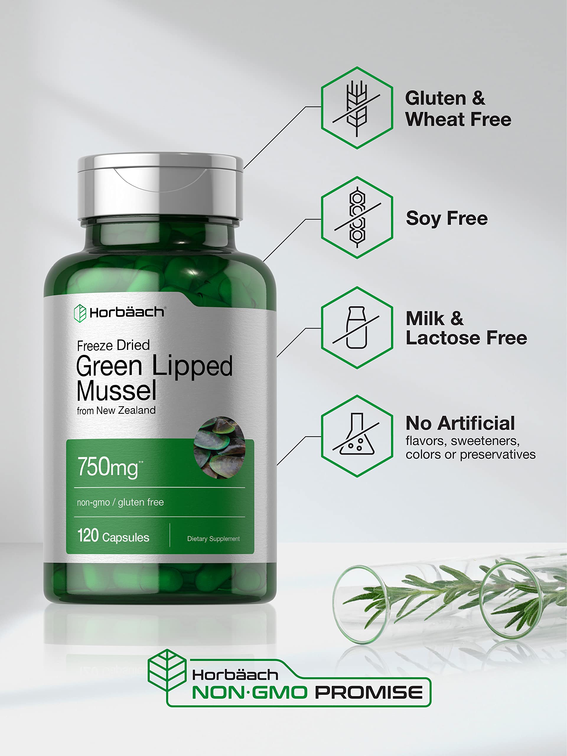Green Lipped Mussel | 750 mg | 120 Capsules | from New Zealand | Premium Freeze Dried HorbäachBuy Supplements Australia