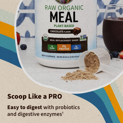 Garden of Life Vegan Protein Powder - Raw Organic Meal Replacement Shakes