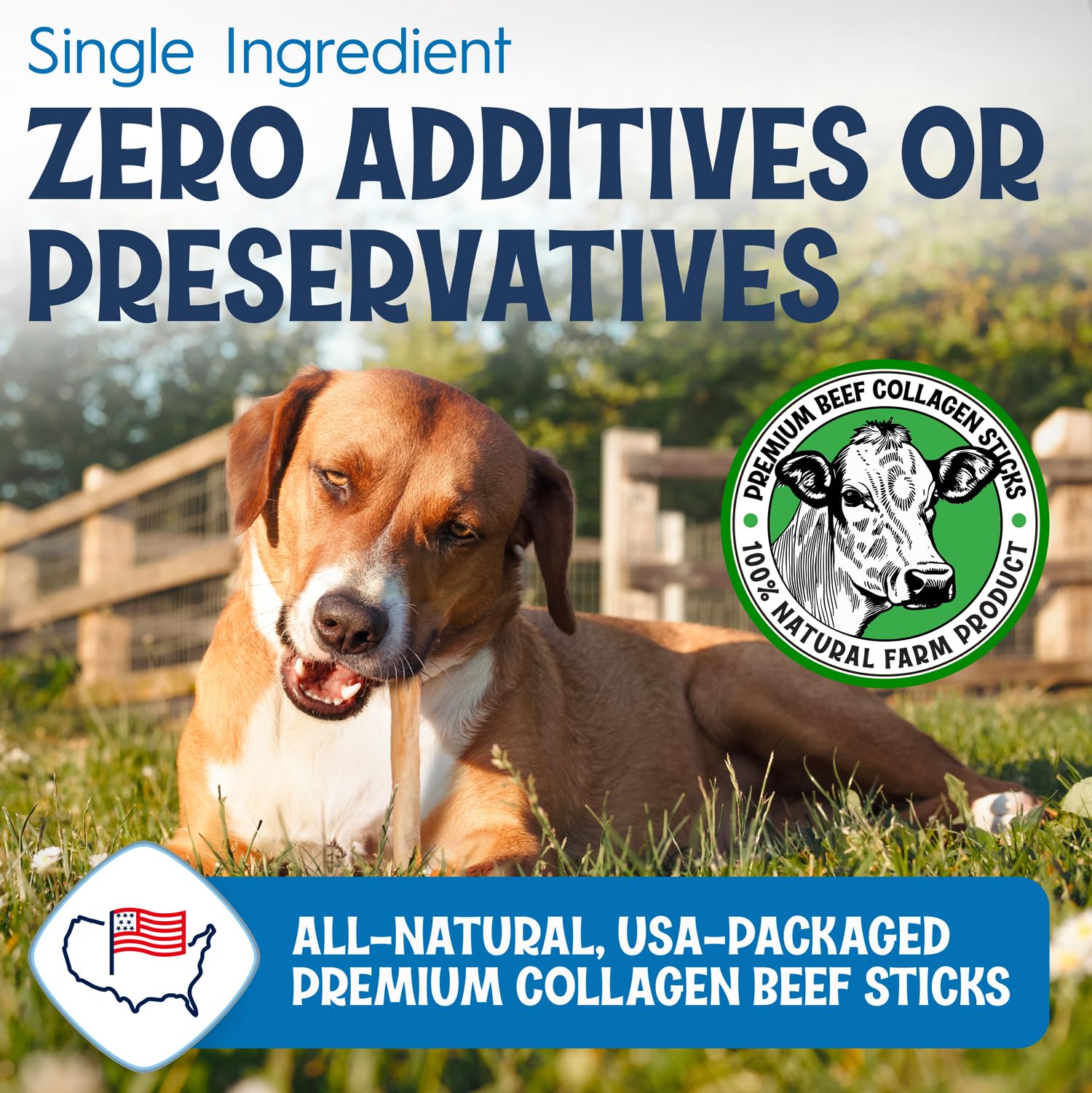 FETCHERONI 6" Collagen Sticks for Dogs – Low Odor Long-Lasting Bully Stick & Rawhide Alternative, Single Ingredient Beef Bone, High Protein Dental Treat, Vet Approved, Improves Joint Health – 5 Pack FETCHERONIBuy Supplements Australia