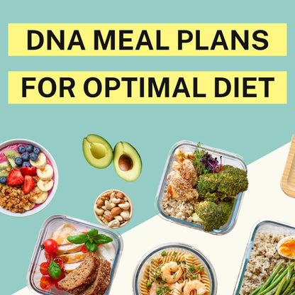 Genetic Methylation Test & Functional Health DNA Test | 750+ DNA Reports Including MTHFR, Cardiovascular, Nutrition, Gut Health, Hormones, Microbiome | Supplement & Diet Recommendations PlexusDXBuy Supplements Australia