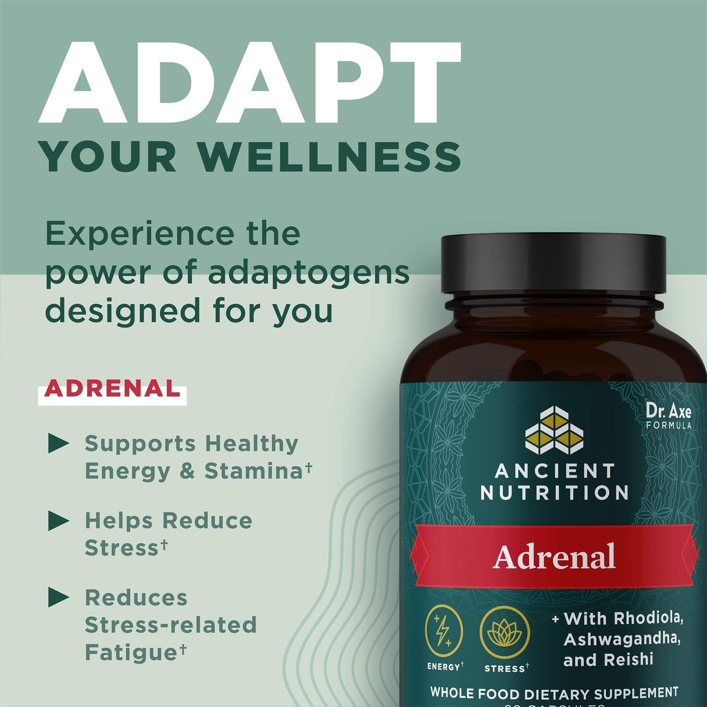 Ancient Nutrition Adrenal Support with Ashwagandha Supplement, Helps Reduce Stress & Fatigue, Paleo and Keto Friendly, Gluten Free, 1300mg, 60 Capsules Ancient NutritionBuy Supplements Australia