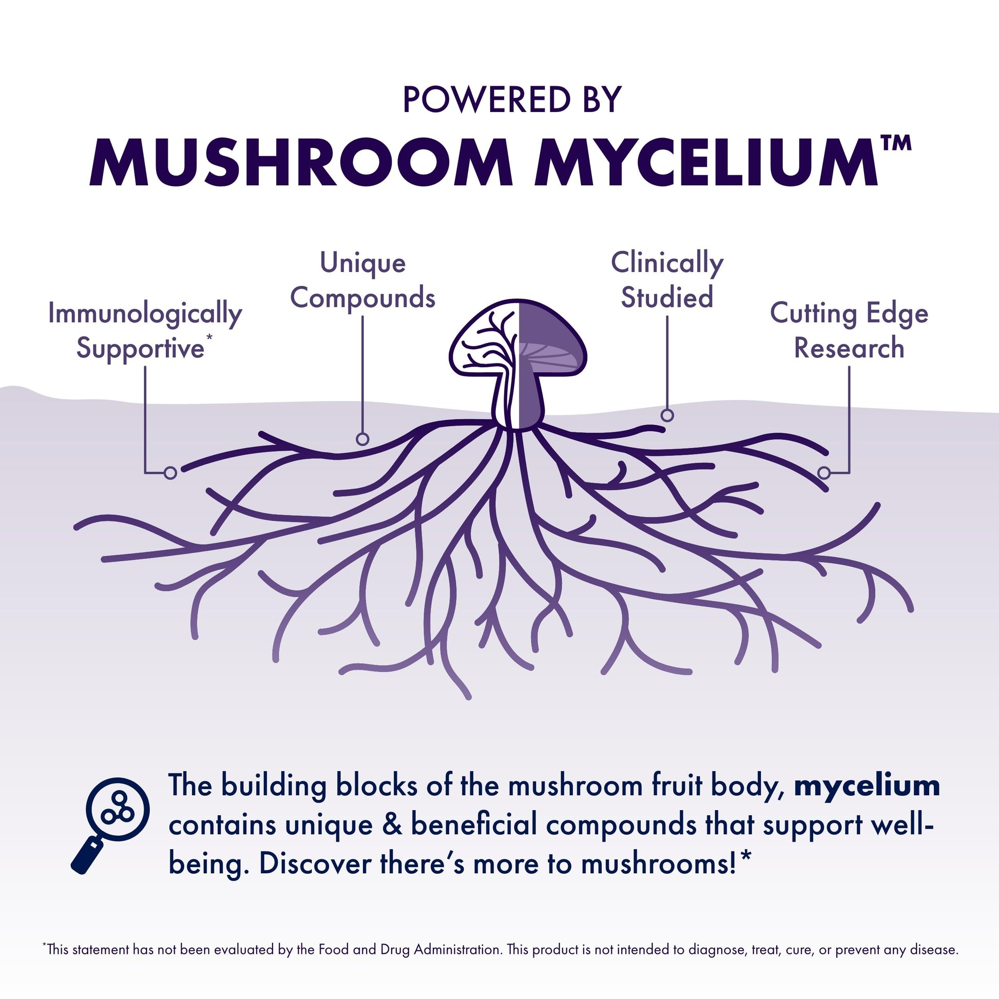 Host Defense MycoBotanicals Brain* Capsules - Brain Support Supplement with Lion's Mane, Reishi & Cordyceps Mushroom - Herbal Supplement for Memory & Focus Support - 60 Capsules Host DefenseBuy Supplements Australia