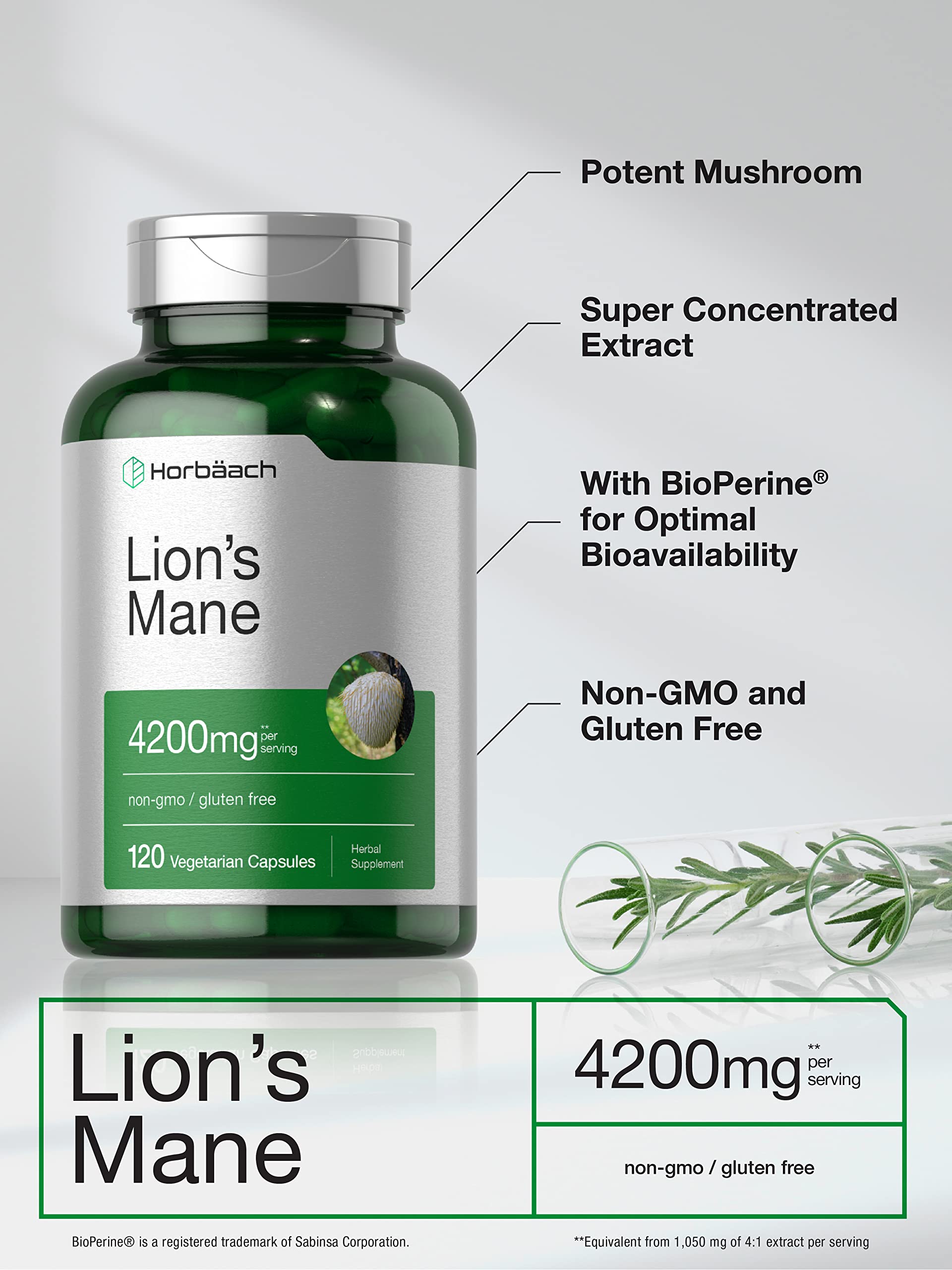 Horbäach Lions Mane Mushroom Extract | 4200mg | 120 Capsules | Vegetarian HorbäachBuy Supplements Australia